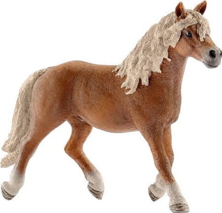 Schleich ogier rasy haflinger 007118 