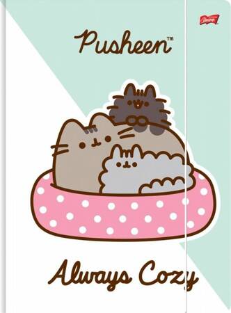 TECZKA Z GUMKĄ A4 300 g/m2 PUSHEEN 663314