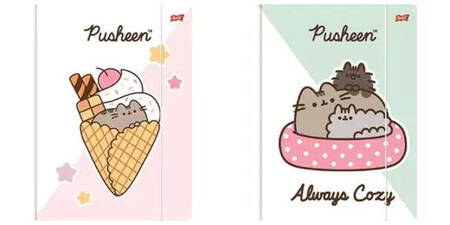 TECZKA Z GUMKĄ A4 300 g/m2 PUSHEEN 663314