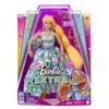 Barbie HHN14/HHN11 Extra Fancy 072552