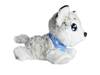 Chi Chi Love Happy Husky 089337