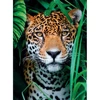 Clementoni Puzzle 500 HQ Jaguar in the Jungle 351275