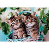 Clementoni Puzzle 60 Super Kolor Lovely Kitty Twins 265992