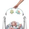 INGENUITY Huśtawka z dźwiękiem Swing 'n Go Hugs & Hoots 0m+ do 9kg 102477