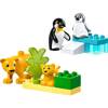 Lego 10442 Duplo Rodziny dzikich zwierząt pingwiny i lwy