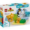 Lego 10442 Duplo Rodziny dzikich zwierząt pingwiny i lwy