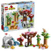 Lego 10974 Duplo Dzikie zwierzęta Azji