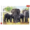 Puzzle Trefl 1000 Afrykańskie słonie 104424