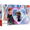 Puzzle Trefl 160 Radosne chwile Disney Frozen 2