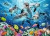 Puzzle ravensburger 500el xxl delfiny 147106 ***2