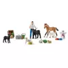 Schleich Kalendarz Adwentowy Farm World 2022 556932